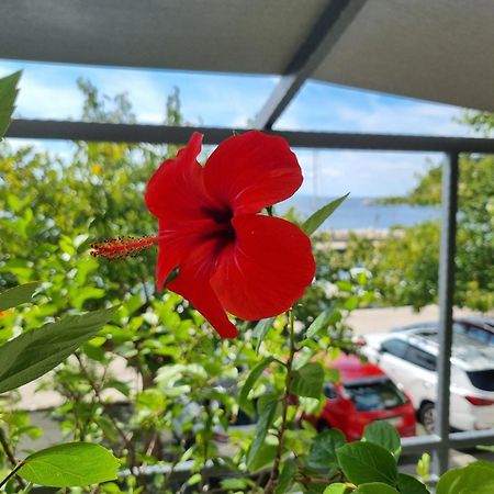 Apartman Ruza พอดโกรา ภายนอก รูปภาพ